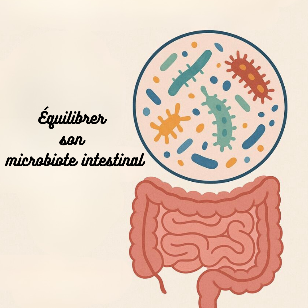 Comment équilibrer son microbiote intestinal et pourquoi l'équilibrer?