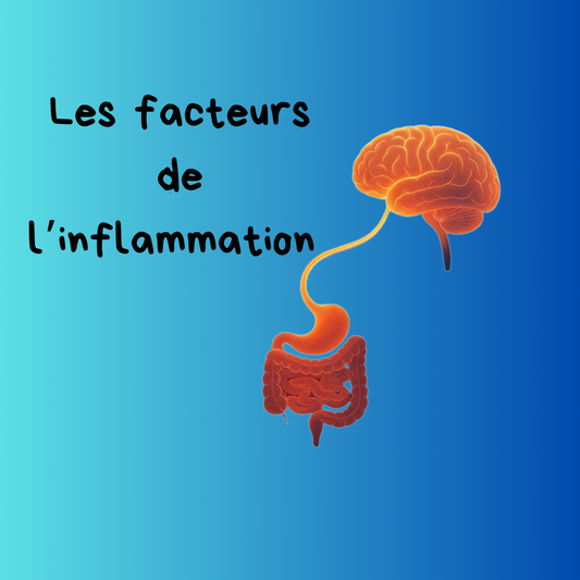 Qu'est-ce qui aggrave l'inflammation?